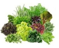 Beyin için b9 b9 vitaminler